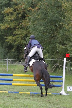 Bild 1355 - WBO-Turnier am 18.9.11